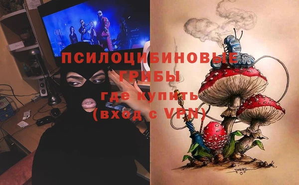 дурь Алексин