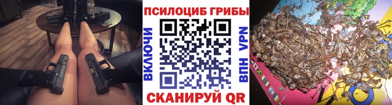 Псилоцибиновые грибы MAGIC MUSHROOMS  закладки  Красавино 